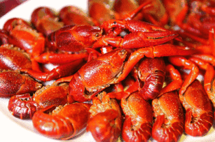 大虾加工爆料视频大全,爆料视频大全深度解析 第2张 大虾加工爆料视频大全,爆料视频大全深度解析 第2张